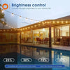 String Light Rental in Jamaica 